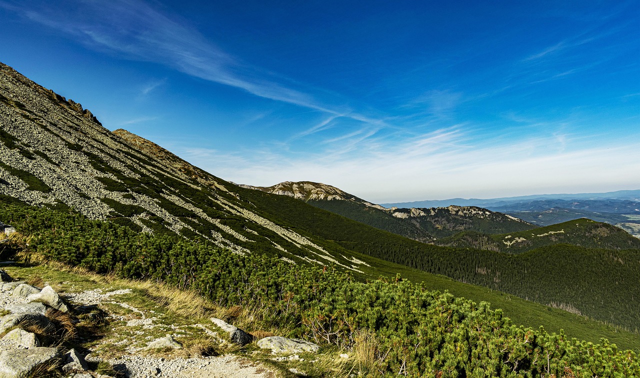 Panorama montano con albero verde e cielo azzurro, simbolo di aria pulita e natura.