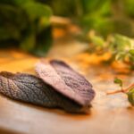 Foglia di salvia in fiamme, simbolo di purificazione secondo la tradizione popolare.